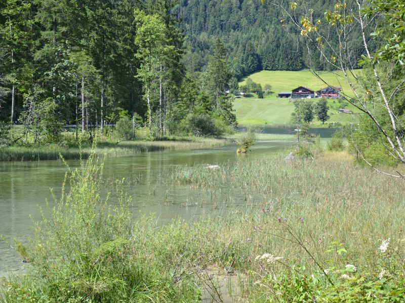 Familienwanderung durch den Zauberwald am Hintersee (c)Petra Sobinger
