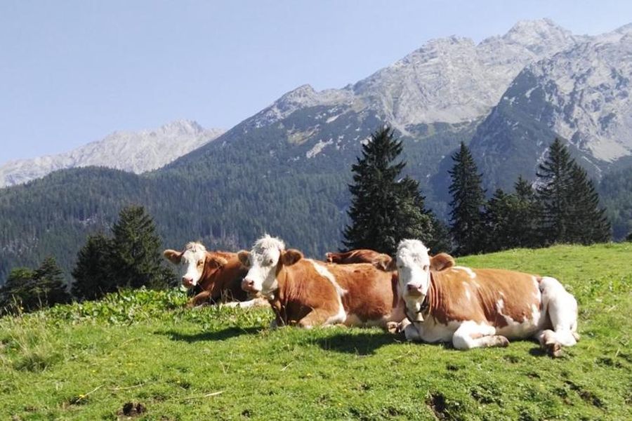 Berchtesgaden - Wanderung zur Litzlalm