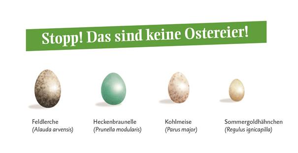 (c) Deutsche Wildtier Stiftung - Vorsicht bei der Ostereiersuche