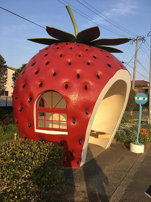 Erdbeere in Japan (c) Shutterstock