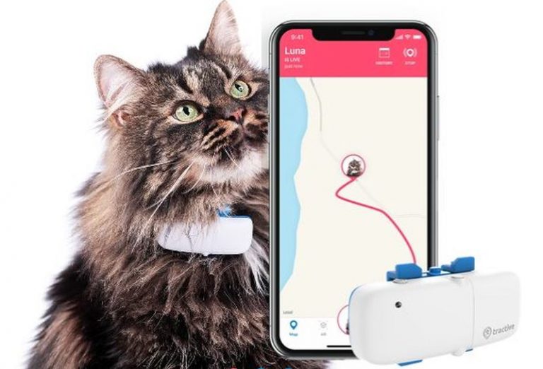 Aktuell im Test Tractive GPS Tracker für Hunde und Katzen beoutdoor.de