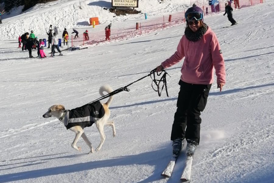 (c)be-outdoor.de - Wolters Skijacke Dogz Wear