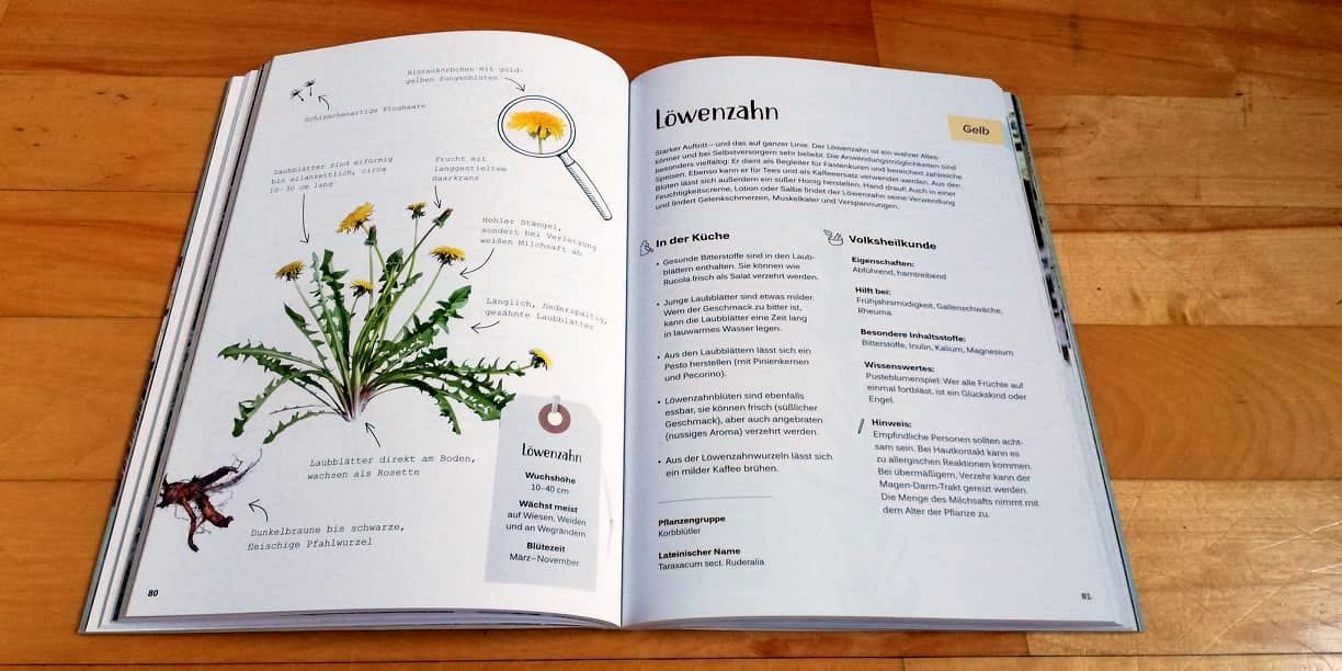(c)Wildpflanzen Handbuch - Raus in die Natur von Sonja Greimel