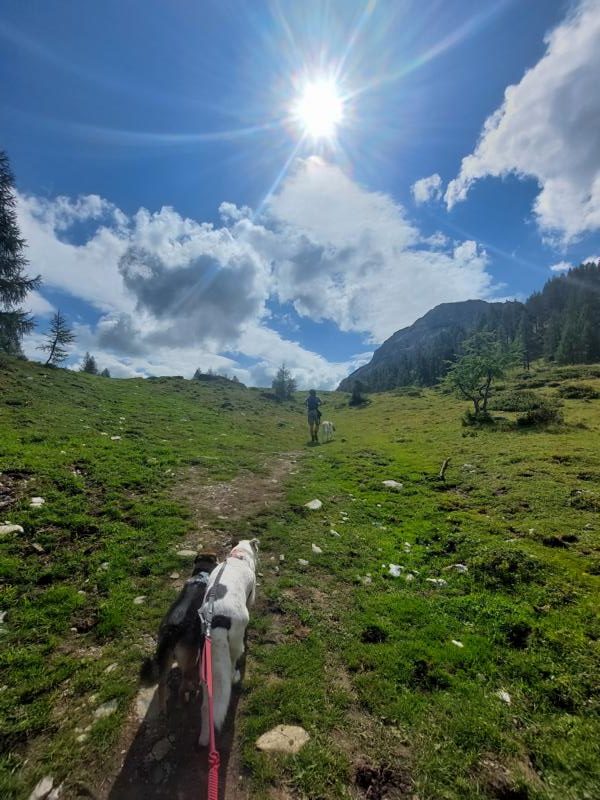 (c)be-outdoor.de Petra Sobinger Wandern in Zauchensee / über die Stubnhöhe und den Leckriedel bis zur Sonnalm und zurück zum Zauchensee