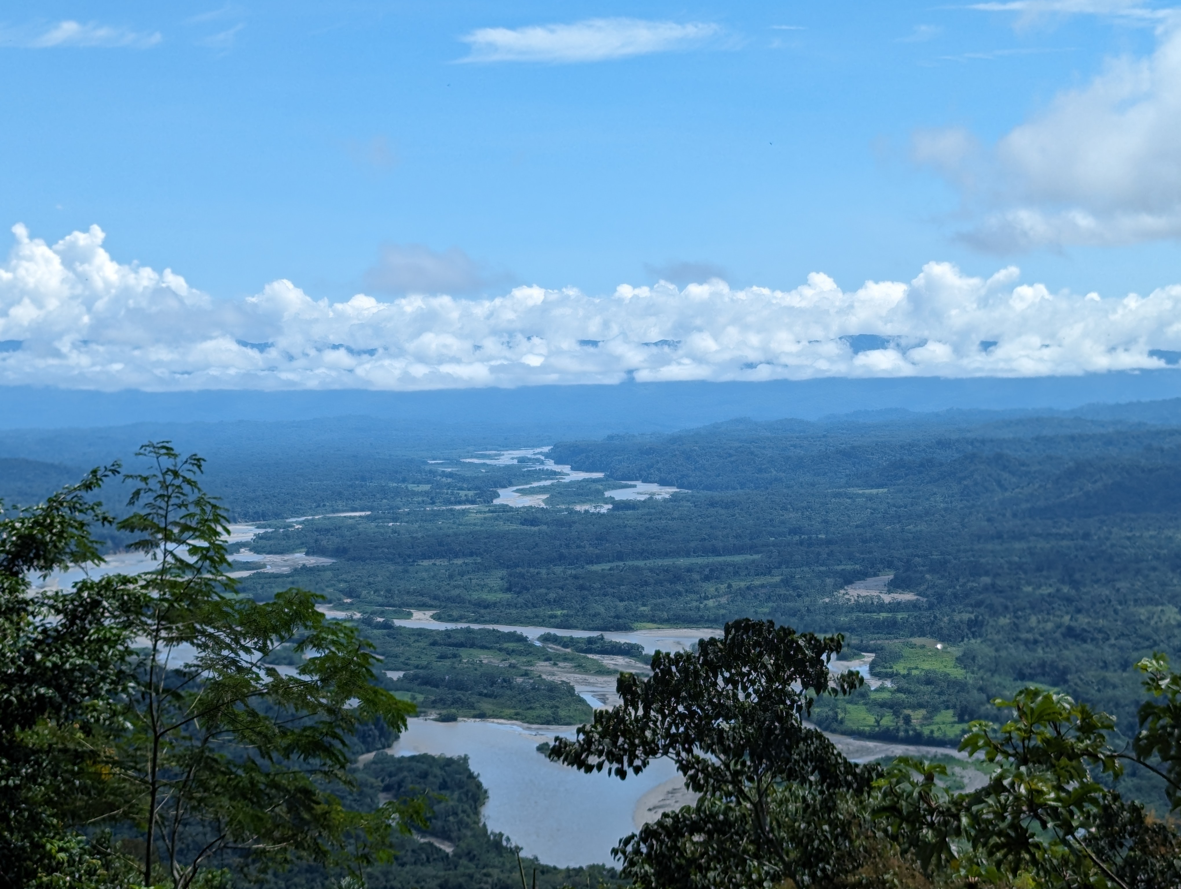 (c)Amazon Peru Travellers Manu Nationalpark