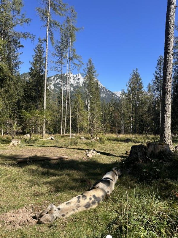 (c)be-outdoor.de_Petra_Sobinger_ Kwellsaibling (2)