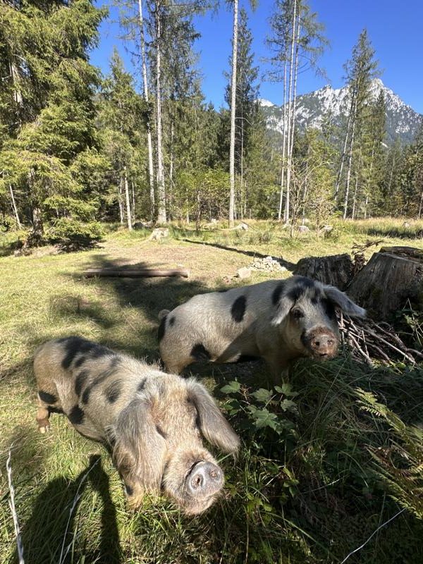 (c)be-outdoor.de_Petra_Sobinger_ Kwellsaibling (2)