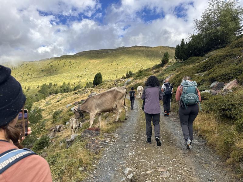 (c)be-outdoor.de Petra Sobinger - Bormio / Selvio Historical Trek - Malga dei Forni and Rosole Valley