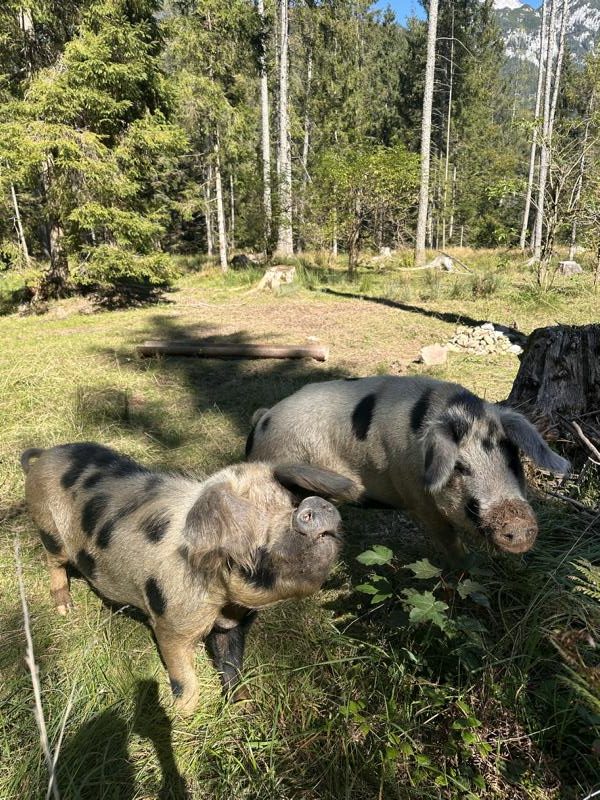 (c)be-outdoor.de - Petra Sobinger / Kwellsaibiling Mark Pirkner