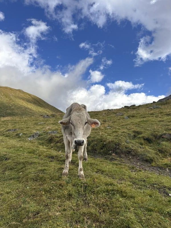 (c)be-outdoor.de_Petra_Sobinger_Bormio_Hiking_Stelvio_Historical_Trek
