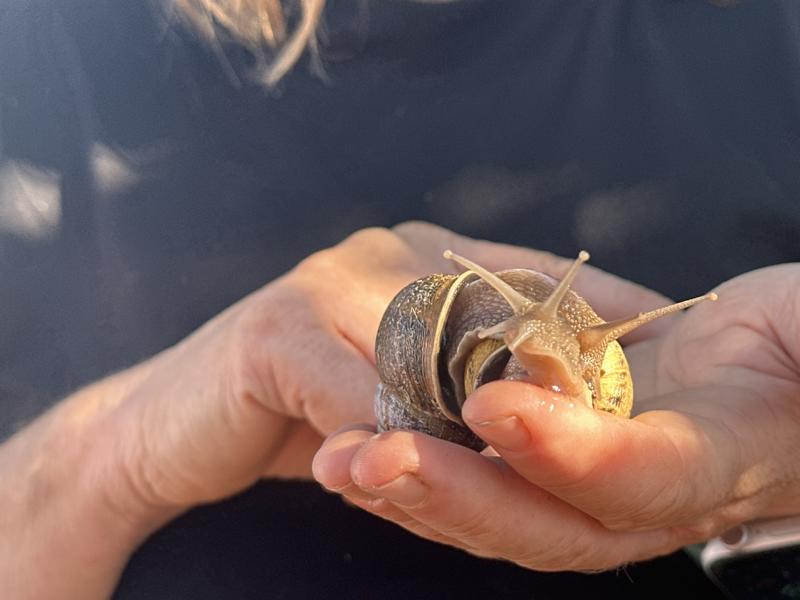(c)be-outdoor.de - Petra Sobinger - Bei der Kaiserschnecke in Ellmau