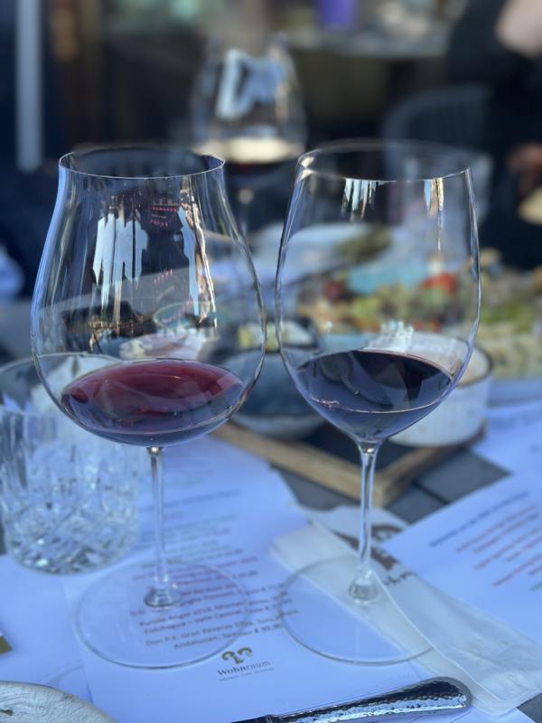 (c)be-outdoor.de - Petra_Sobinger // Vinothek Wohnraum Ellmau