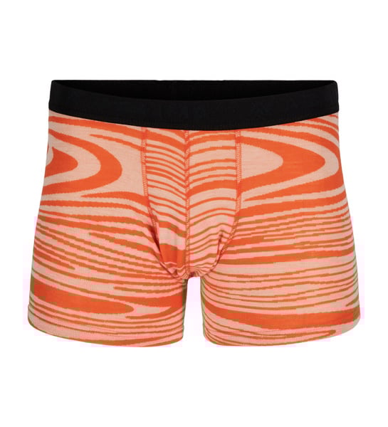 (c)aclima_WarmWool boxer