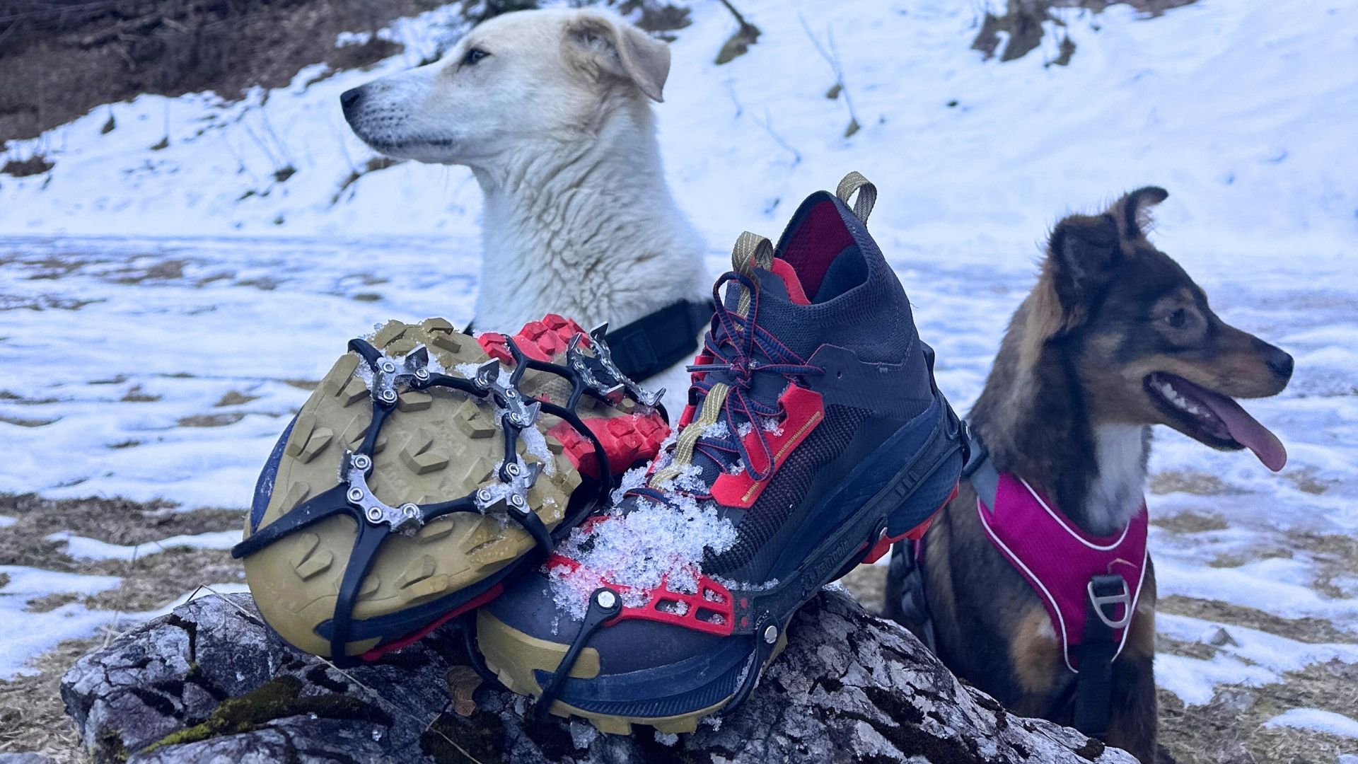 (c)be-outdoor.de - Kathool Micro Spikes Ghost