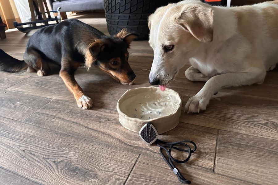 (c)be-outdoor.de - BYOND Trinkwasser Hunde